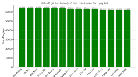 Giá heo hơi hôm nay ngày 8/8/2025: Chững lại sau chuỗi biến động