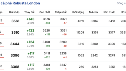 Giá cà phê hôm nay 11/8/2025: Chững lại trong phiên đầu tuần