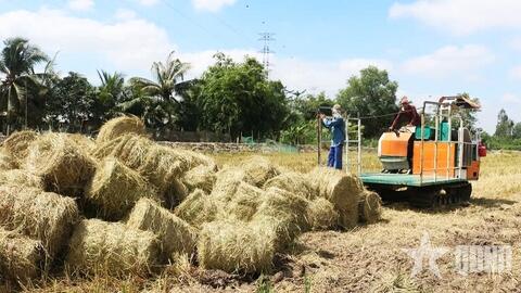 Chăn nuôi an toàn, tiết kiệm