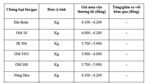 Giá lúa gạo hôm nay ngày 16/8: Thị trường lặng sóng