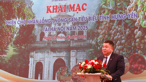 Phiên chợ nhãn lồng Hưng Yên 2025: Quảng bá đặc sản tiến vua tại Thủ đô
