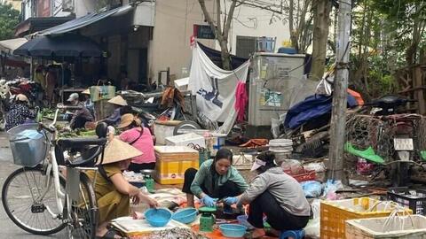 Hà Nội lập lộ trình xử lý chợ cóc, chợ tạm và cơ sở giết mổ nhỏ lẻ