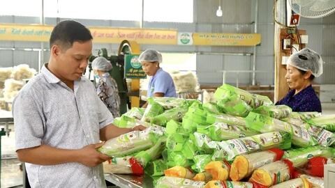 Phú Thọ: Thúc đẩy tiêu thụ nông sản, nâng tầm đặc sản địa phương