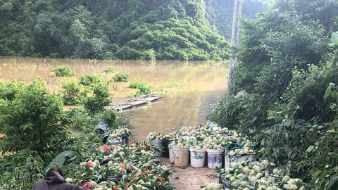 Na Cai Kinh giúp bà con vùng cao vươn lên thoát nghèo