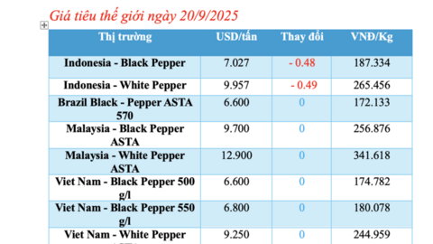 Giá tiêu hôm nay 20/9/2025: Trong nước tiếp tục đi ngang