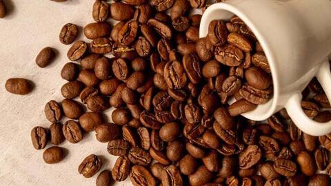 Vì sao mỗi lần giá USD biến động giá cà phê lại 'nhảy múa'?