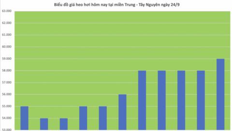Giá heo hơi hôm nay 24/9/2025: Tiếp tục giảm nhẹ
