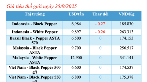 Giá tiêu hôm nay 25/9/2025: Tiếp tục tăng nhẹ