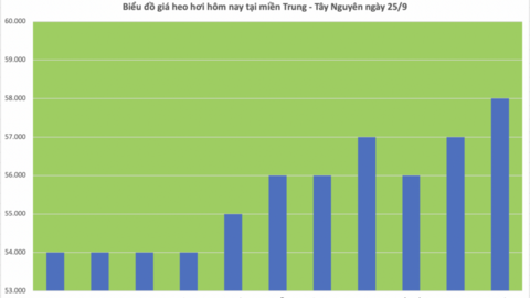 Giá heo hơi hôm nay 25/9/2025: Giảm mạnh tại miền Trung và miền Nam