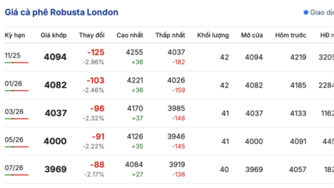 Giá cà phê hôm nay 26/9/2025: Bật tăng 3.000 đồng/kg