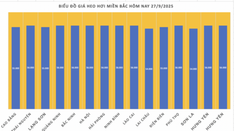 Giá heo hơi hôm nay 27/9/2025: Giảm tại miền Nam, đi ngang ở miền Bắc