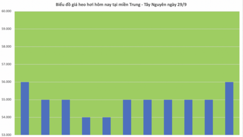 Giá heo hơi hôm nay 29/9/2025: Miền Bắc tăng nhẹ, miền Nam đi ngang