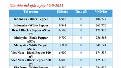 Giá tiêu hôm nay 29/9/2025: Trong nước "bất động"