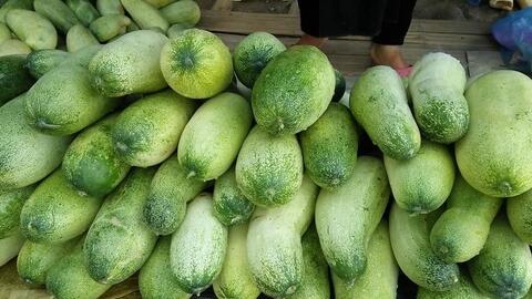Dưa mèo Tây Bắc: Sản vật vùng cao hút khách thành thị