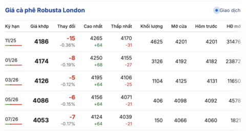Giá cà phê hôm nay 30/9/2025: Tăng nhẹ trở lại