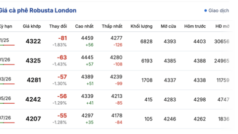Già cà phê hôm nay 3/10/2025: Liên tiếp tăng mạnh