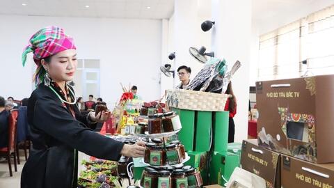 Liên kết tiêu thụ sản phẩm, nâng sinh kế cho đồng bào Lai Châu