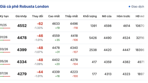 Giá cà phê hôm nay 18/10/2025: Tiếp tục tăng cao