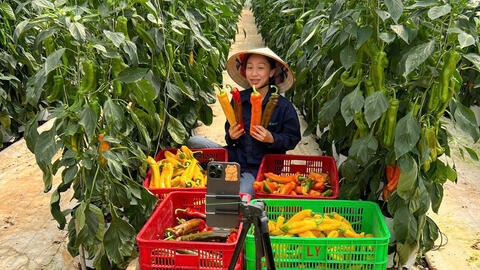 Thảo Mola: Hành trình từ phòng lab đến 'vựa' nông sản trên TikTok Shop