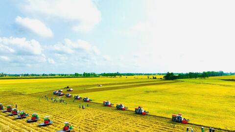 Nông sản Việt trước cơ hội cạnh tranh bằng 'dấu chân carbon thấp'