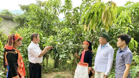Hội Nông dân xã Khổng Lào: Phát huy vai trò nòng cốt trong phát triển kinh tế