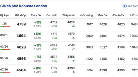 Giá cà phê hôm nay 26/10/2025: Trong nước tăng nhẹ