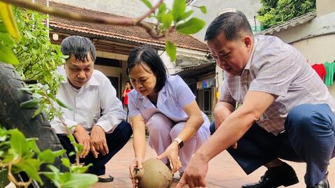 Hà Nội: Số ca mắc sốt xuất huyết tăng