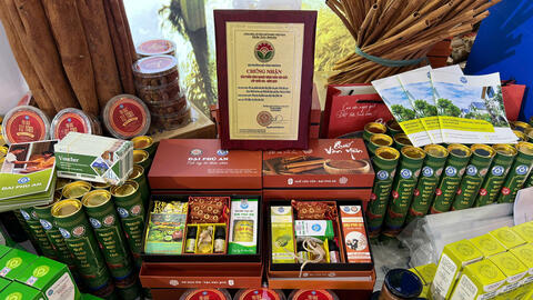 Tuyên Quang và Lào Cai tổ chức Lễ hội hoa Dã Quỳ, trà Shan Tuyết