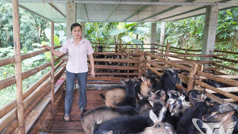 Khát vọng thoát nghèo ở Yên Phong