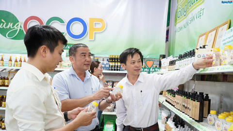 Quảng Ngãi: Khơi thông nguồn lực, hoàn thiện mục tiêu nông thôn mới