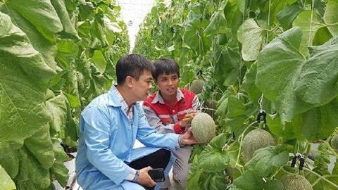 Sửa Nghị định 98: Tăng liên kết, nâng tầm nông sản, mở rộng xuất khẩu