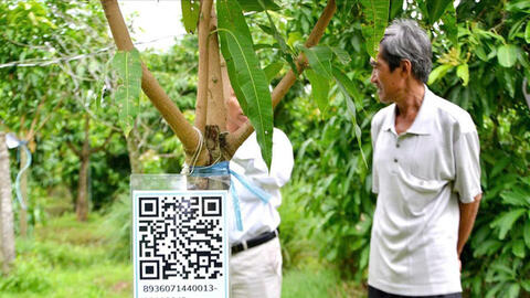 Quảng Ngãi: Ứng dụng AI vào kinh doanh hợp tác xã