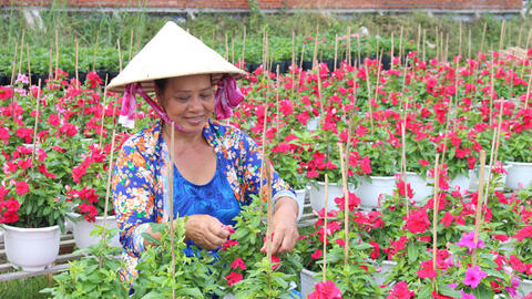 Nghề trồng hoa kiểng Sa Đéc trở thành Di sản văn hóa phi vật thể quốc gia