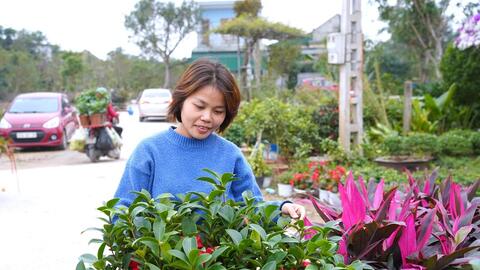 Nghệ An: Làng nghề hoa - cây cảnh rộn ràng vào vụ Tết