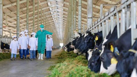 Thị trường nội địa quyết định sức bật của ngành chăn nuôi