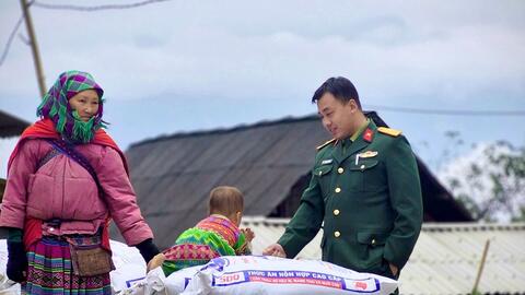 Hỗ trợ bò giống, vật tư chăn nuôi cho đồng bào vùng biên Lào Cai