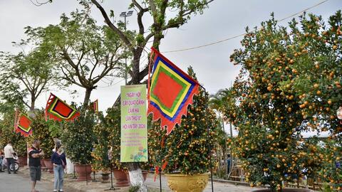 Đặc sắc ngày hội quật cảnh Cẩm Hà lần thứ X