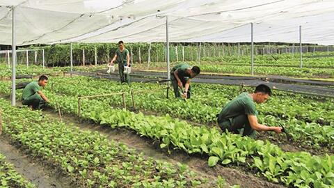 Gieo mầm khát vọng