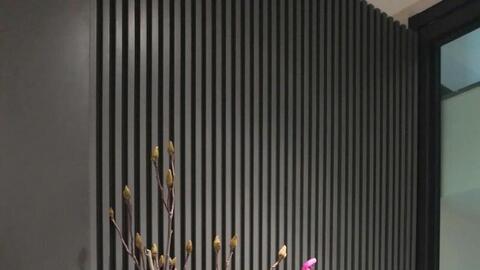 Hoa mộc lan thêm lựa chọn cho người chơi hoa dịp Tết