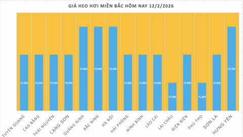 Giá heo hơi hôm nay 12/2/2026: Tiếp đà giảm đồng loạt trên toàn quốc