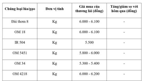 Giá lúa gạo hôm nay ngày 10/3/2026: Gạo nguyên liệu xuất khẩu OM 5451 tăng