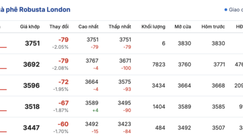Giá cà phê hôm nay 11/3/2026: Giữ đà bình ổn