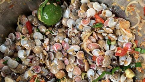 Đà Nẵng: Ốc lễ được giá, ngư dân tất bật từ sớm