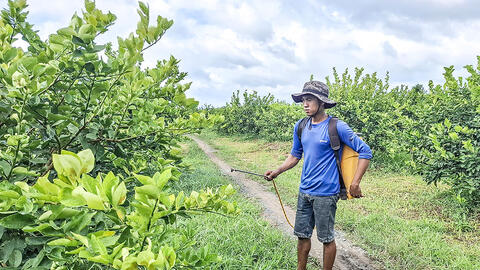 Liên kết “4 nhà” tạo động lực phát triển cây có múi
