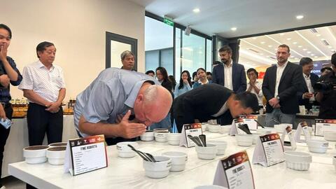 Tham vọng mới của cà phê Robusta Việt Nam