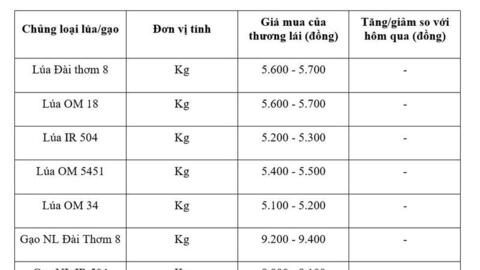 Giá lúa gạo hôm nay ngày 29/3, tuần qua: Gạo xuất khẩu đảo chiều tăng