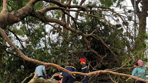 Lào Cai: Hơn 4.100 nhà ở bị hư hại sau mưa dông kèm lốc