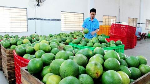 Thương mại Việt Nam - Anh vượt 9,38 tỷ USD, FTA tạo lực đẩy kép