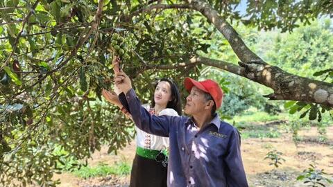 Điện Biên: Đẩy mạnh phát triển OCOP, gia tăng giá trị nông sản bản địa