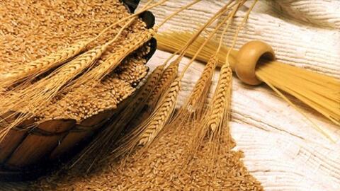 Giá lúa mì giảm hơn 3% do áp lực chốt lời và thời tiết được cải thiện